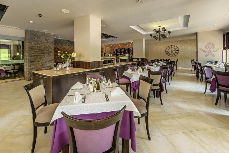 Hotel Sana Hisarya